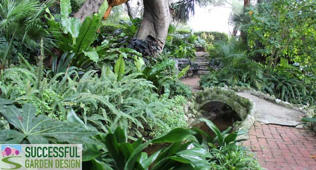 Evergreen tropical planting
